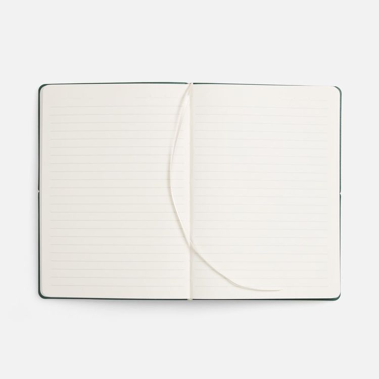 Ежедневник Kuka, недатированный, светло-зеленый