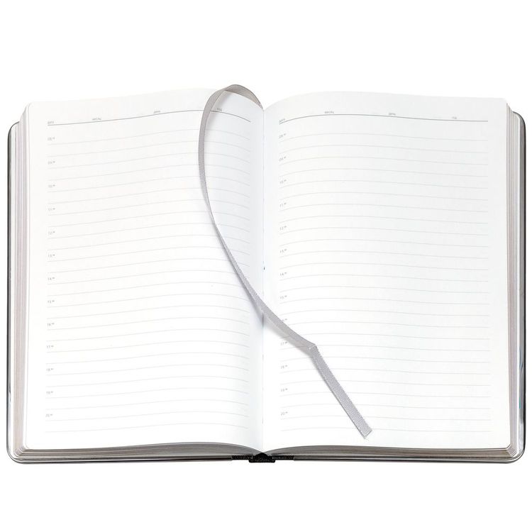 Ежедневник Frame Metal, недатированный, черный