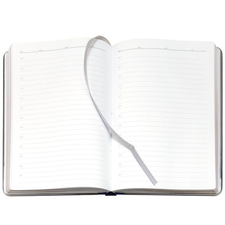 Ежедневник Frame Metal, недатированный, синий