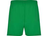 Спортивные шорты Calcio мужские, папоротниковый, размер 48